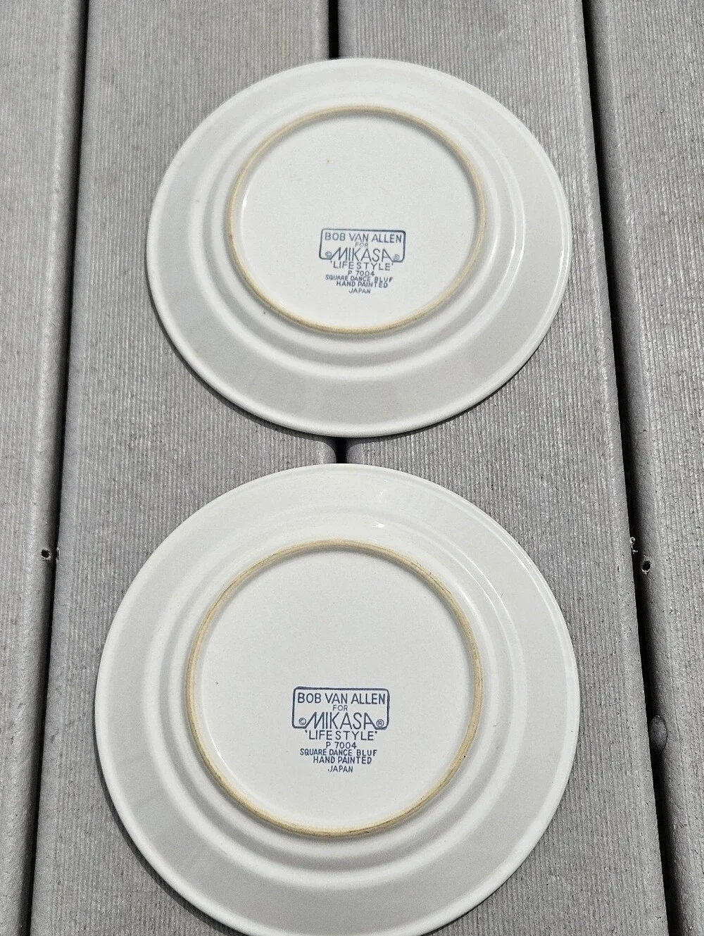 Mikasa White Plates with Navy Rings and Rust Accents
